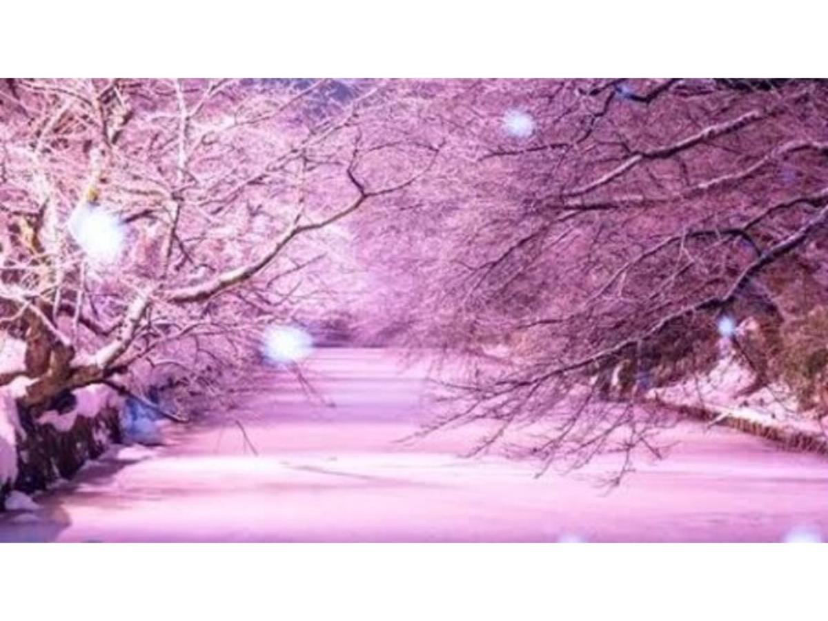 Hostel Hirosaki -Mixed Dormitory-Vacation Stay 32012V ภายนอก รูปภาพ